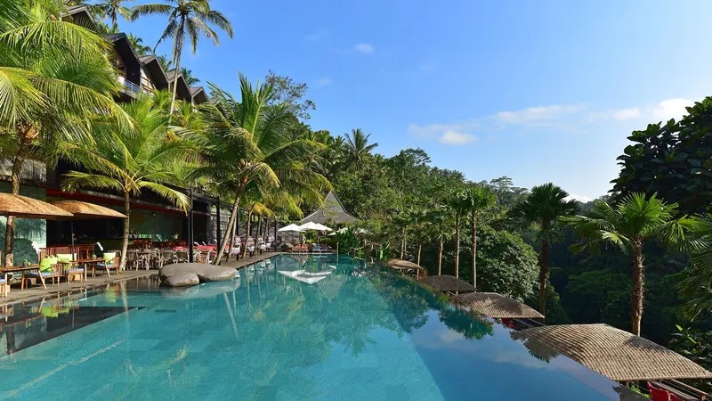 Jungle Fish Pool Bar