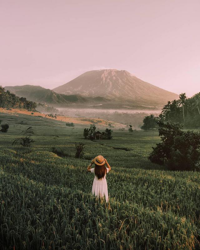 Bebandem Rice Field - Photo by @ziccohudyoro