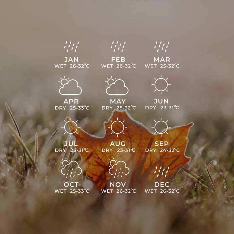Check Out Bali Weather Forecast