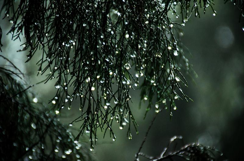 When Is Wet Season In Bali?