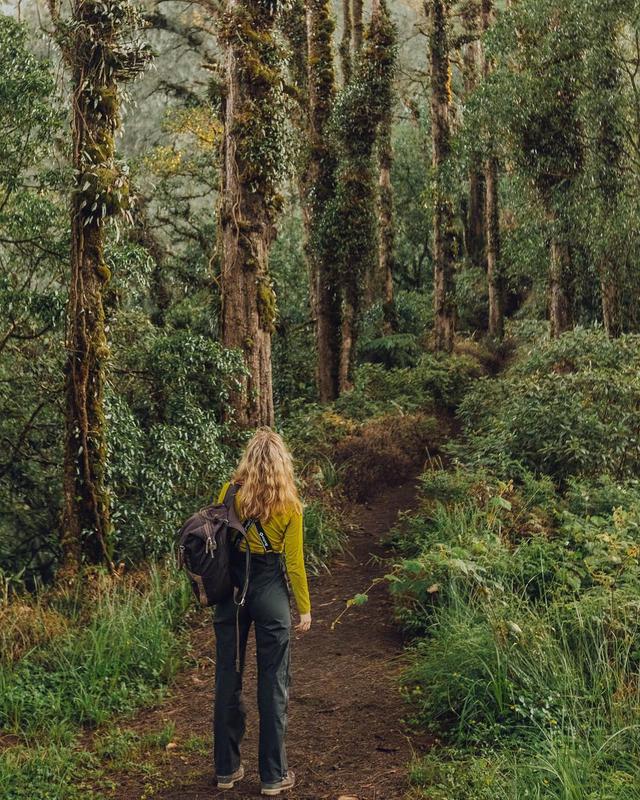 Hiking? Not On Wet Season Dear!