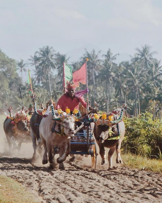 10 Must See Festivals, Cultures, Traditions, Arts And Celebrations You Need To Experience In Bali
