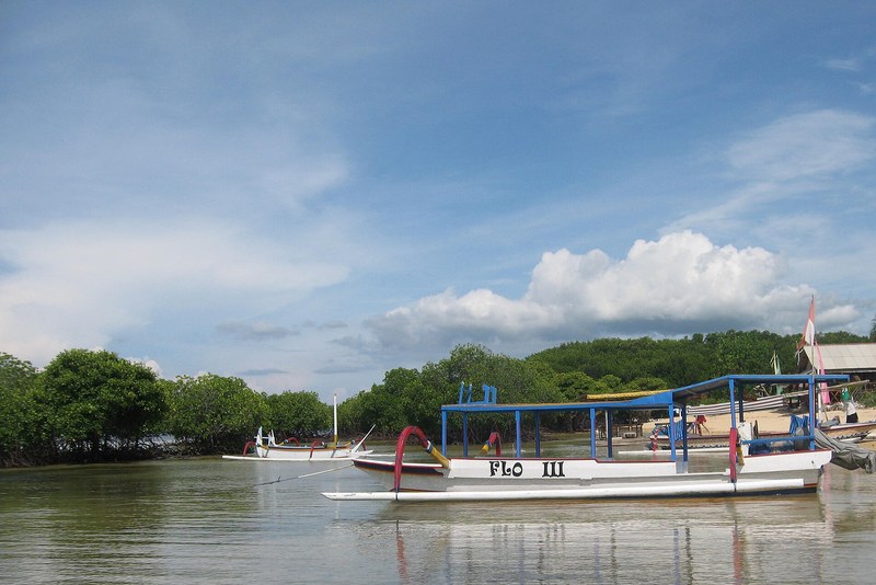 Mangrove forest by boat or kayak