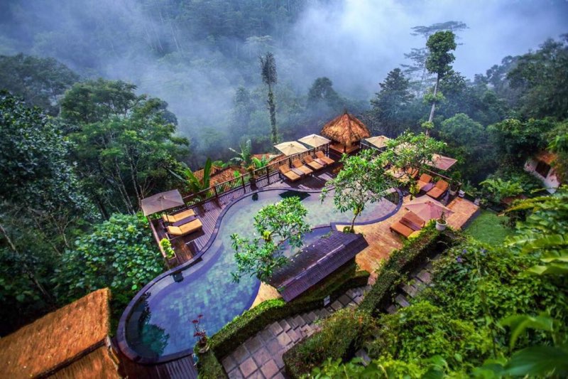 Nandini Jungle by Hanging Gardens