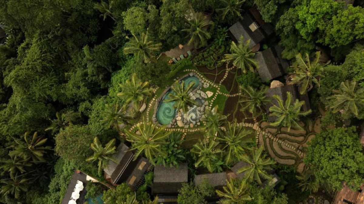 Where to Stay in Ubud: Best Hotels, Areas & Insider Tips (2026 Guide)