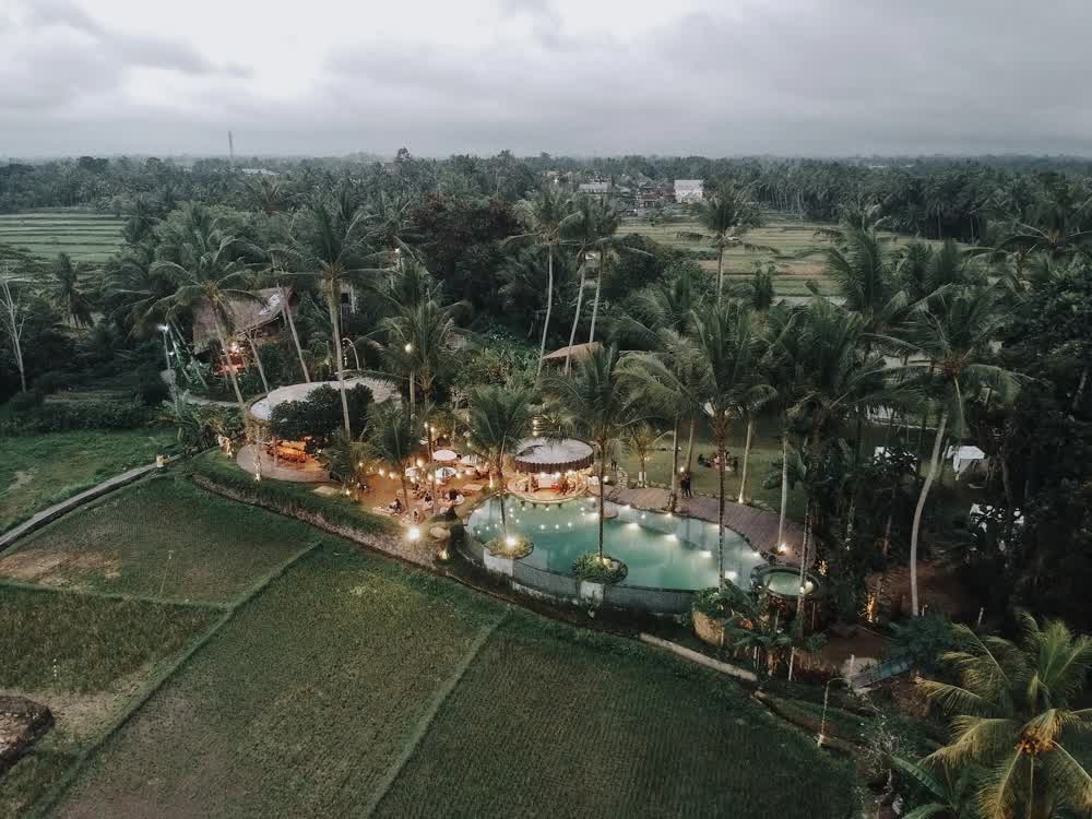 Kelapa Muda Ubud Pool Bar & Kitchen