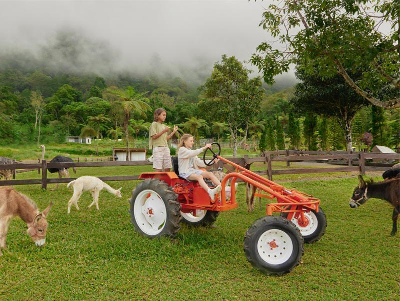 Feel the Swiss Vibes at Bali Farm House