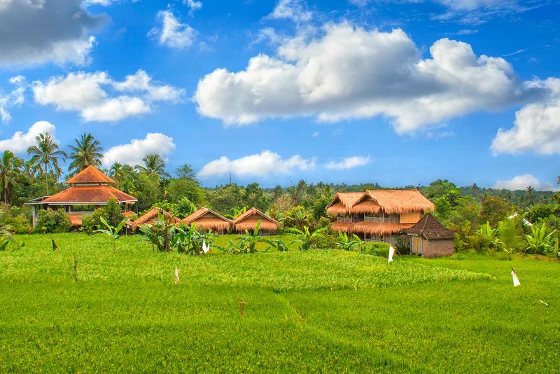 Bali Silent Retreat