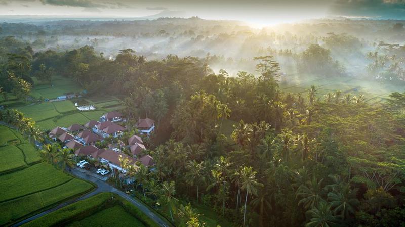 Dedary Kriyamaha Villas Ubud - 