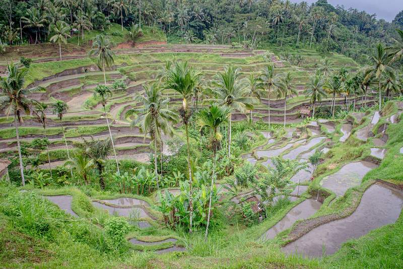 7 Days in Bali