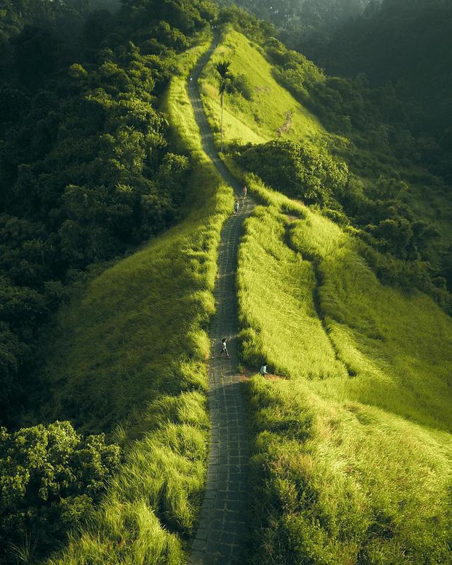 Campuhan Ridge Walk