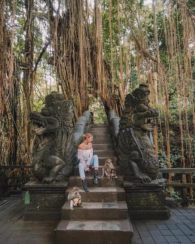 Monkey Forest