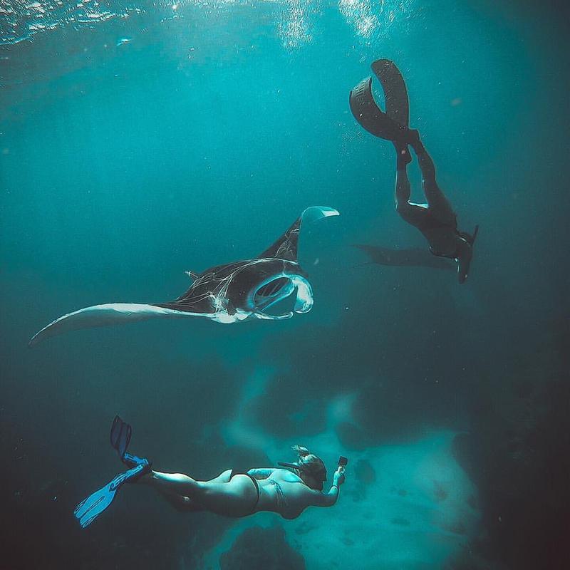 Snorkel with manta rays off Nusa Penida