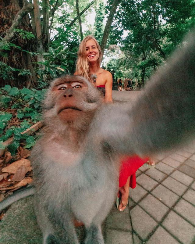 Walk through the Ubud Monkey Forest