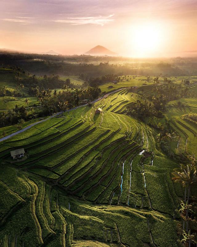 Walk the Jatiluwih rice terraces