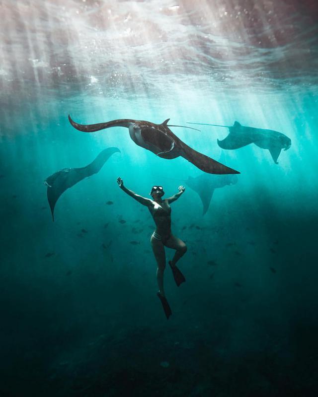 Underwater Life