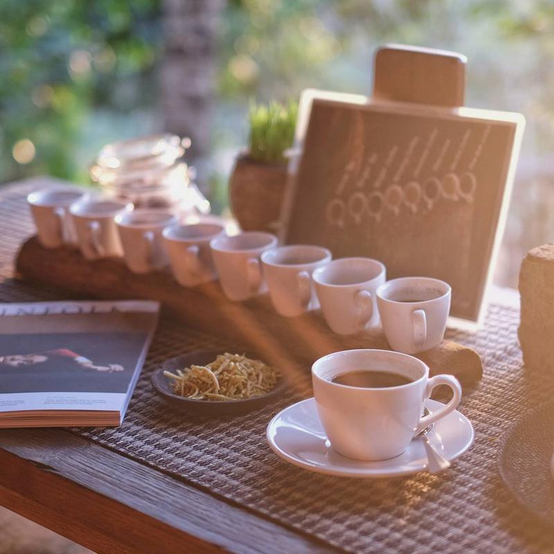 Taste Kintamani Coffee Where It Grows