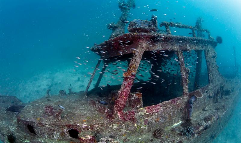 Dive around Bali’s waters