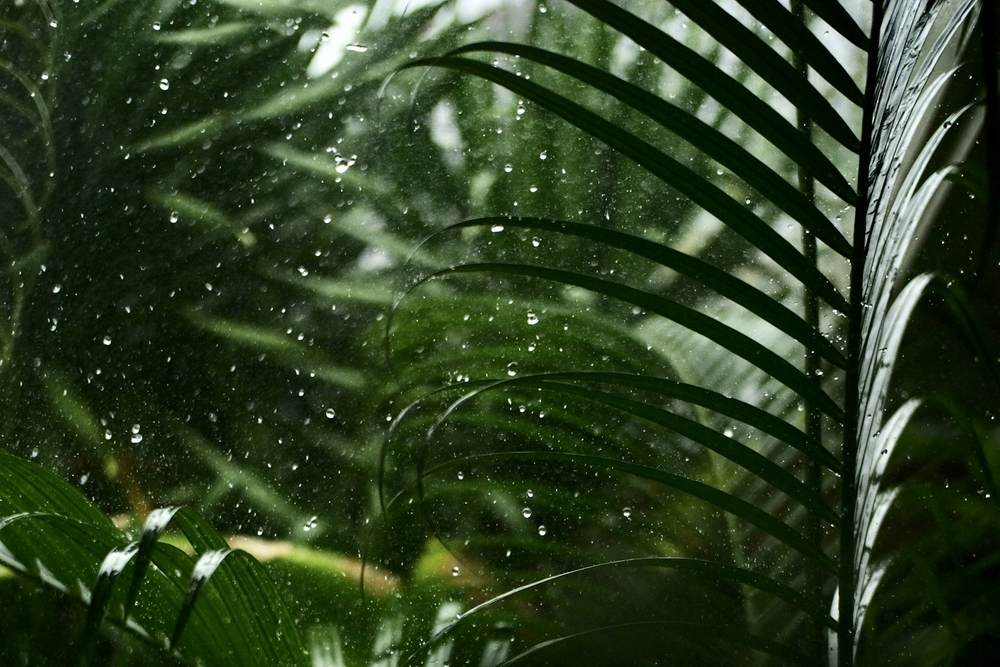 25 Things to Do in Bali When It Rains (Rainy Season 2026–27)