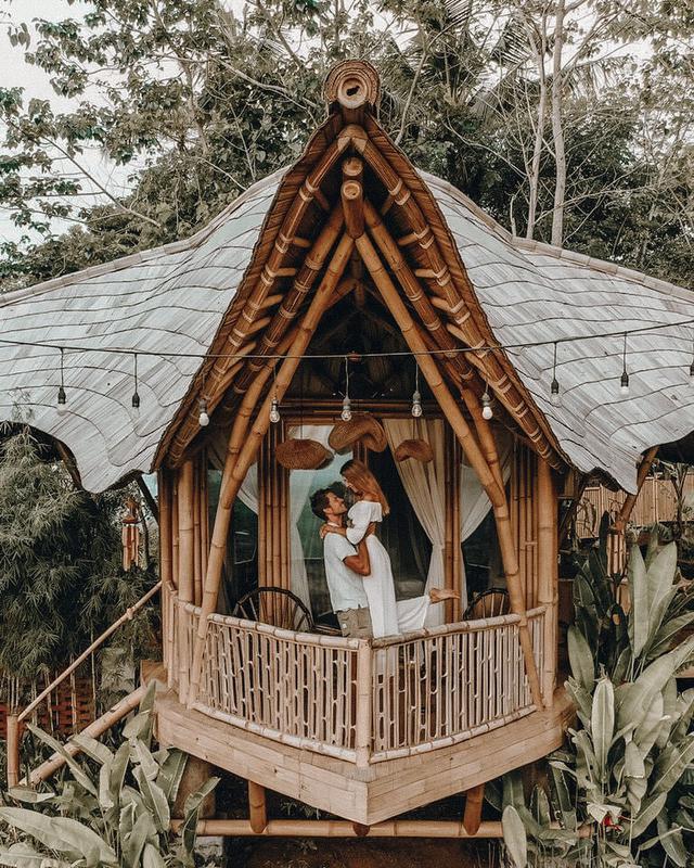 Bird Hills Bamboo House
