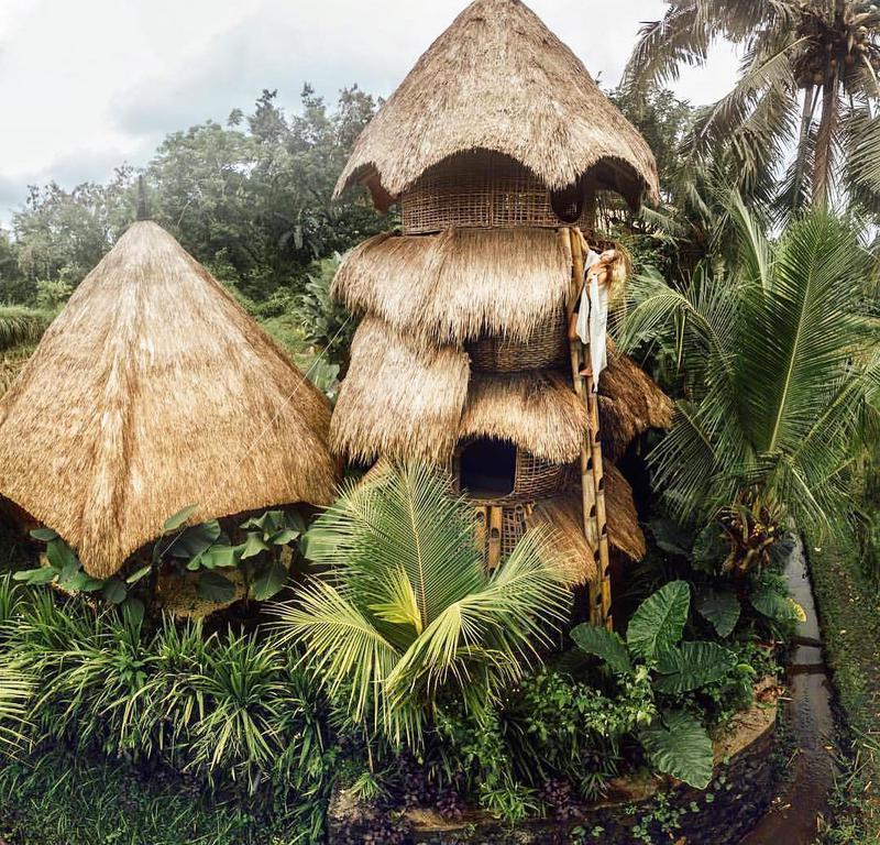 Firefly Eco Lodge - Photo by @karina_razumnaya