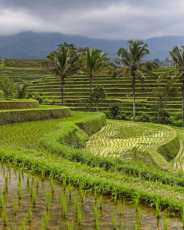12 Unique Things to Do in Bali 2026: Unusual Experiences